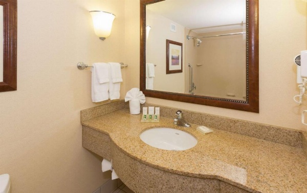 Hilton Garden Inn Buffalo Airport image 18
